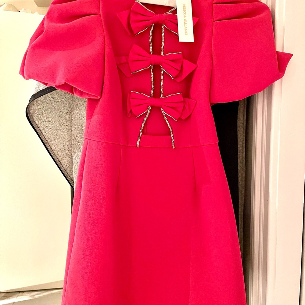 Rebecca Vallance Fuchsia Mini Dress with Bow Accents! New never been worn